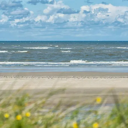 Appartementhaus Westerloog 21 * シュピーカーオーク