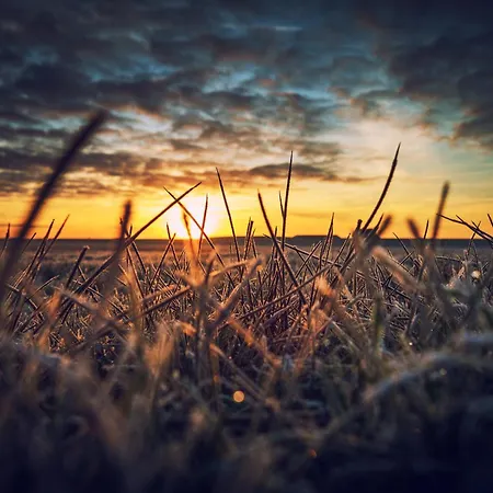 Appartementhaus Westerloog 21 シュピーカーオーク