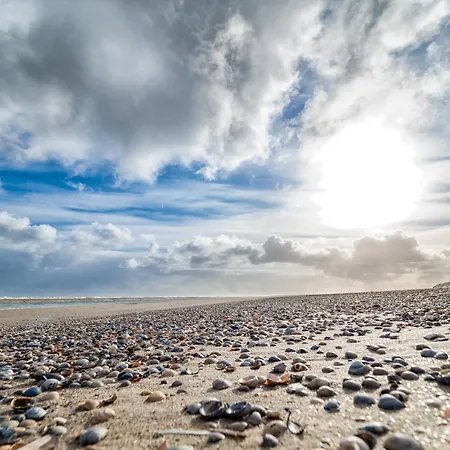 Appartementhaus Westerloog 21 Apartament