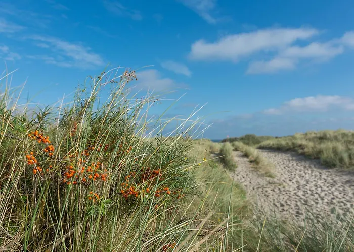 Appartementhaus Westerloog 21