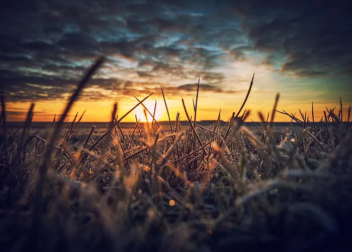 Appartementhaus Westerloog 21 Шпикерог