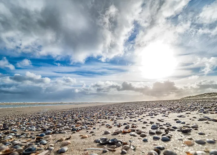 Appartementhaus Westerloog 21 Апартаменты